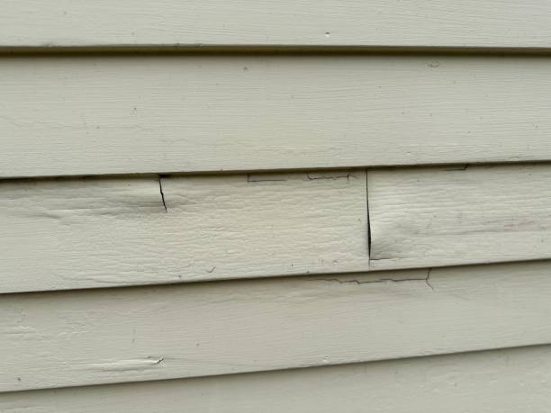 Best Composite Siding  in Fort Lee, VA